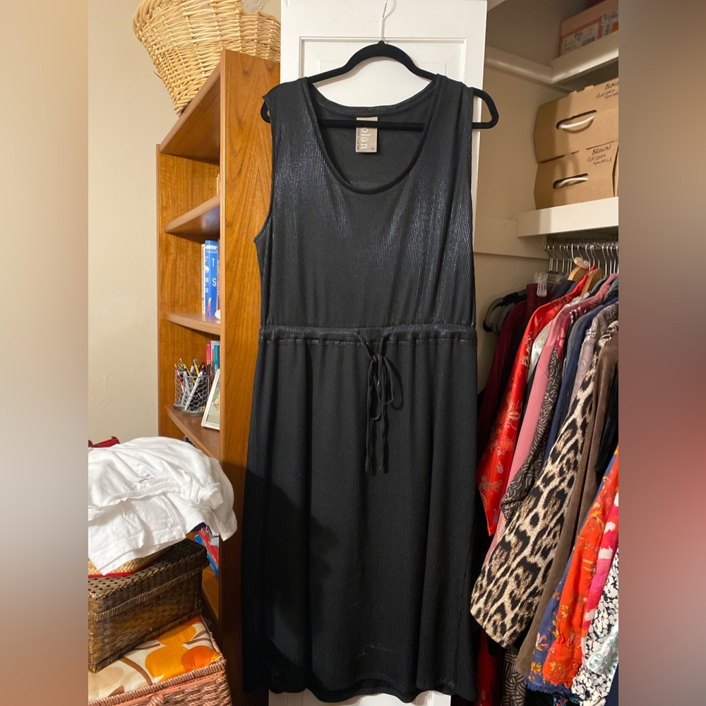 Dolan XL Sheer Sleeveless Black Party Dress